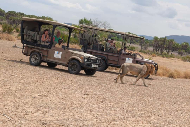 From Zanzibar: Mikumi Safari Day Trip with Flights and Lunch Mikumi Shared Safari without hotel transfer