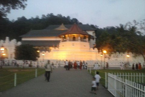 Kandy Cultural Festival Viewing Seat with Local Guide