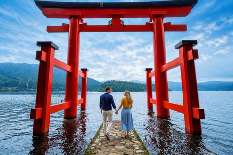 Tokyo Mt Fuji Hakone Private Tour with French Speaking Guide French-Speaking Guide Option-Toyota Alphard / HiAce