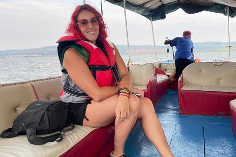 Entebbe: Mabamba Shoebill Wetland &amp; Equator Island Tour