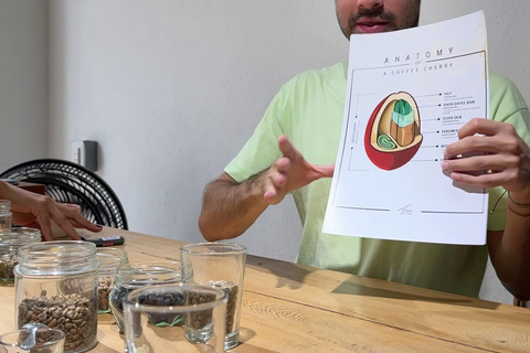 Gastronomische dag in Cartagena de IndiasEen hele dag lekker eten in Cartagena de Indias