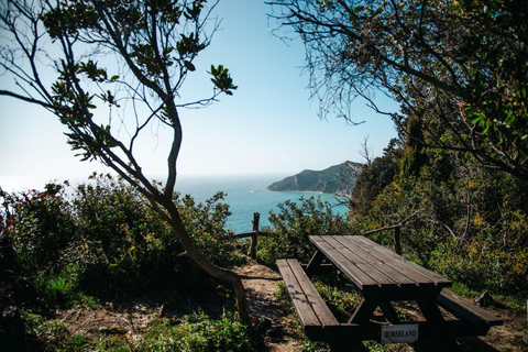 Corfu: Guided Hiking Tour of Arkoudilas Beach and Forests