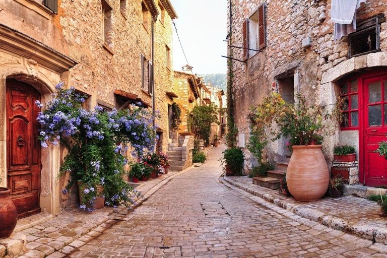 Von Nizza aus: Geführte Ganztagestouren durch die Provence und WeinverkostungPrivate Tour