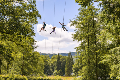 Windermere: Treetop Course (Full Trek)