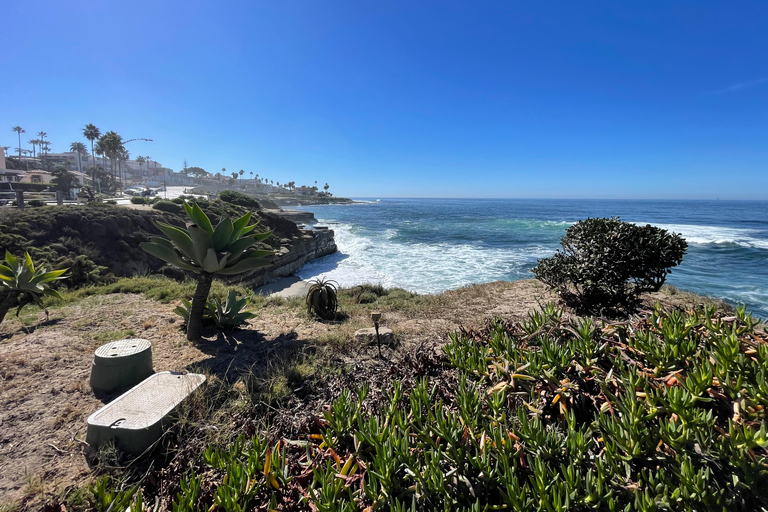 Visite privée de 5 heures de San Diego à bord d&#039;une Lexus ES300H