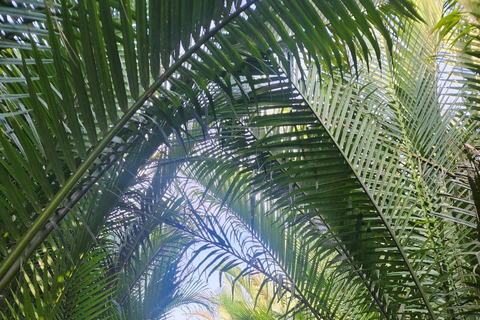 Hoi An: Viaggio in stand-up paddling all'alba per conoscere la vita locale