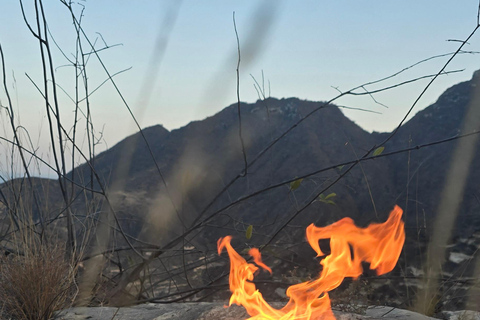 Salalah Secret Beach Tour with Dinner and Snacks