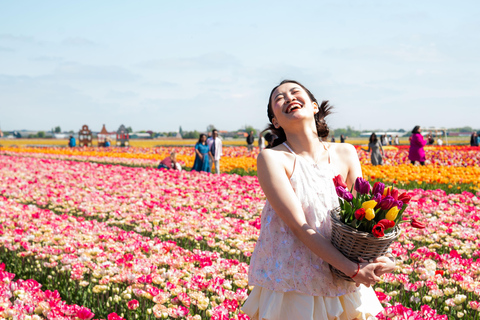 Tulip Experience and Tulip Fields Tour from Amsterdam