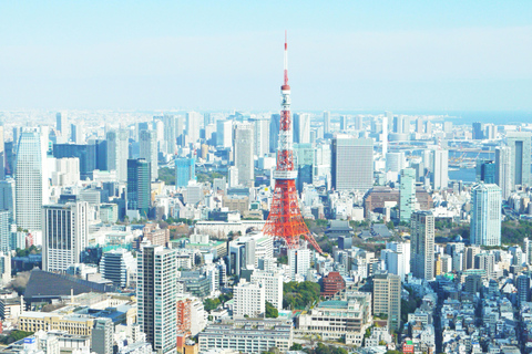 Tokyo: Private Day Excursion with English Speaking Guide
