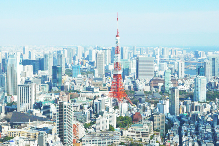 Tokyo: Private Day Excursion with English Speaking Guide
