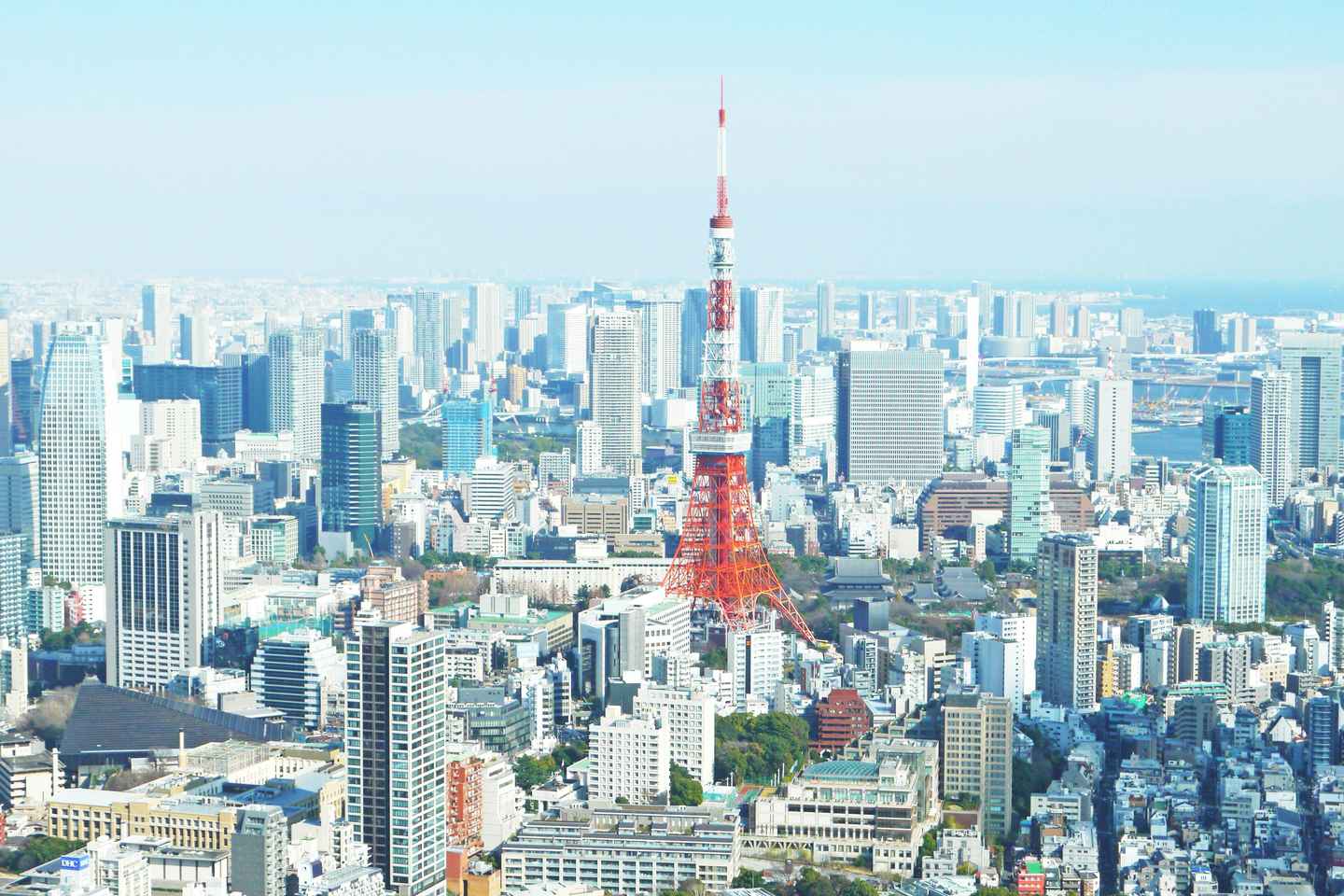 personalized private tokyo tour
