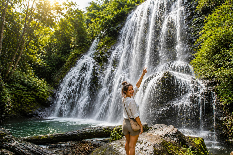 Chiang Mai: Doi Inthanon National Park Waterfalls & Pagodas