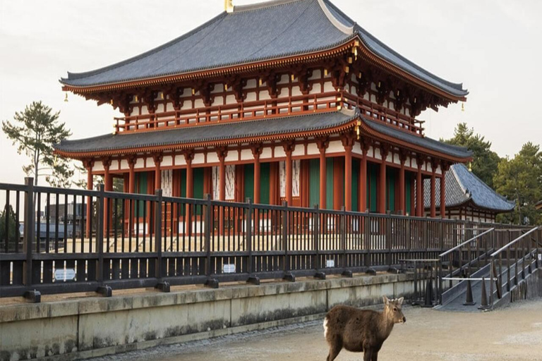 Discover Nara: The City of Deer, Temples & Timeless Beauty