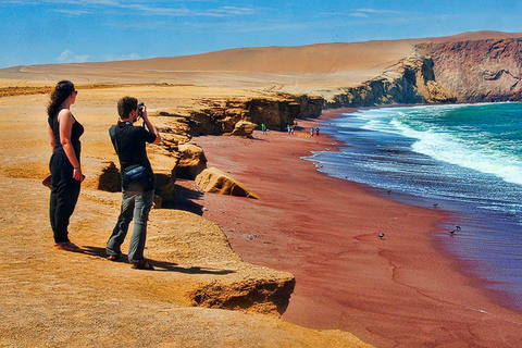 Au départ de Lima : visite guidée d&#039;une journée à Paracas et à l&#039;oasis de Huacachina