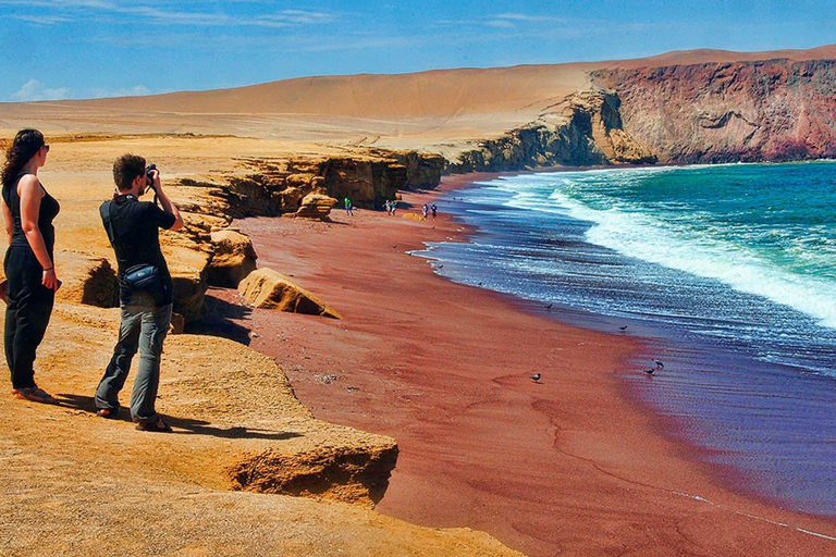 Vanuit Lima: Paracas en Huacachina Oase dagvullende tour met gids