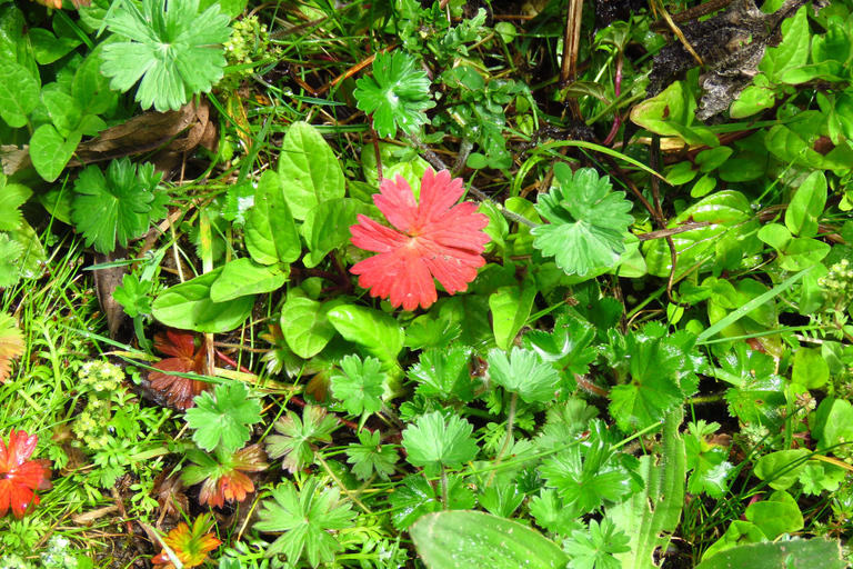 Quito: Full Day Trip to Papallacta Hot springs and The Area