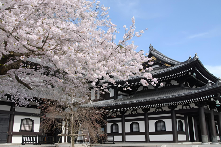 Kamakura Private Tour mit englischem Fahrer und Transport