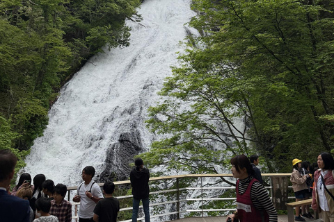 Tokyo: Nikko Private Day Tour with Pickup