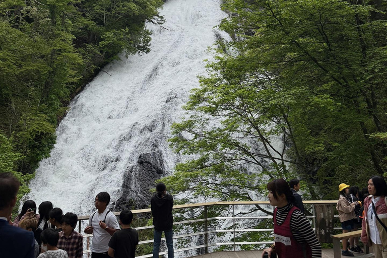 Tokyo: Nikko Private Day Tour with Pickup