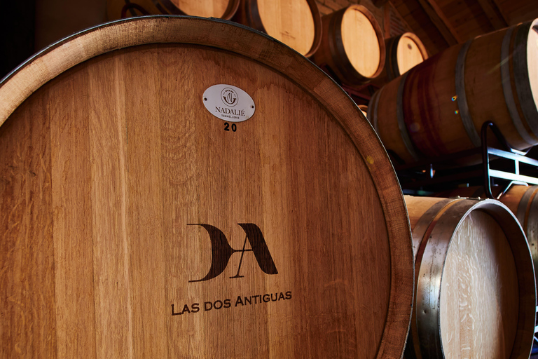 Segovia: Winery Tour with Wine Tasting Segovia: Tour with Wine Tasting