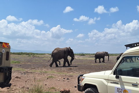 Nairobi: Amboseli National Park Tagestour mit PirschfahrtenSolo Nairobi: Amboseli National Park Tagestour