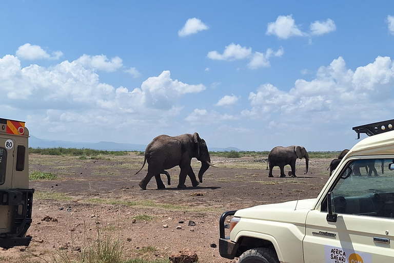 Nairobi: Amboseli National Park Tagestour mit PirschfahrtenSolo Nairobi: Amboseli National Park Tagestour