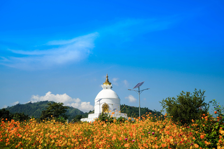 Excursão de um dia a Pokhara (carro particular)