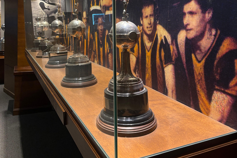 Montevideo: Peñarol Stadium, Museum, and Arena Tour