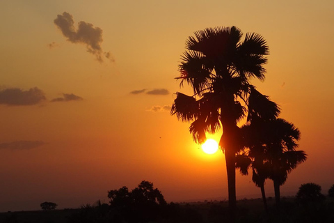 乌干达：3日游——默奇森瀑布与犀牛/黑猩猩追踪之旅乌干达：3日游，包含穆希逊瀑布和犀牛/黑猩猩徒步旅行