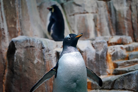 Skip-the-line Montreal Biodome Private Tour with Tickets 2-hour: Montreal Biodome Tour