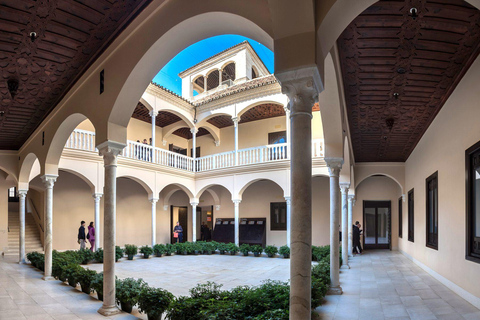 مالقة: جولة في متحف بيكاسو مع مرشد فني خبير في مجموعات صغيرةملقة: الجولة 1 متحف بيكاسو - الإنجليزية