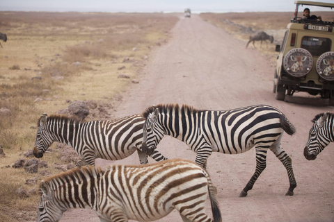 Tanzania: 5-Day Tarangire, Serengeti, & Ngorongoro Tour