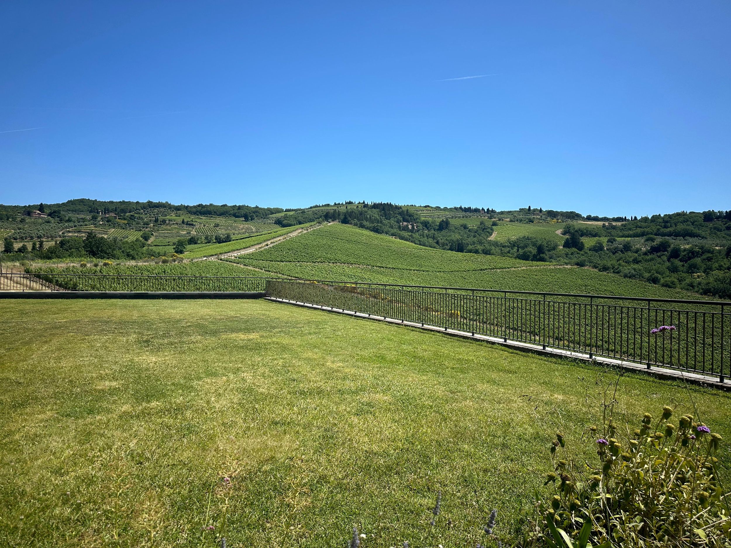 Entdecke den Chianti im Jeep mit offenem Verdeck: Weinkeller, Hügel und ein typisches Mittagessen