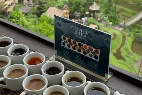 Bali: Hidden And New Secret Waterfalls All Including