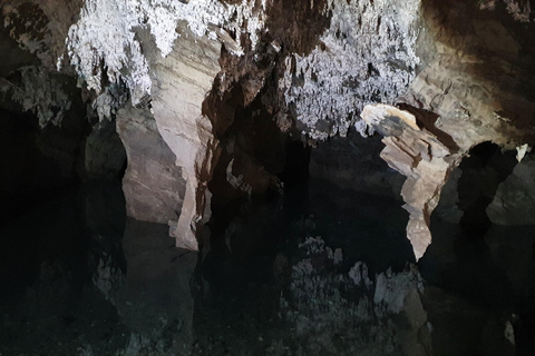 Johannesburg: Cradle of Humankind World Heritage Site TourJohannesburg: Werelderfgoedtour &#039;Cradle of Humankind&#039;