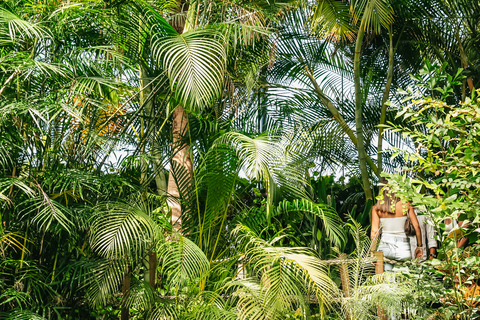 Lisboa: Ingresso para o Oceanário de Lisboa