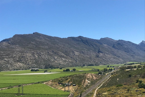 Ciudad del Cabo: Montaña de la Mesa y Parque de los Grandes Felinos de Stellenbosch