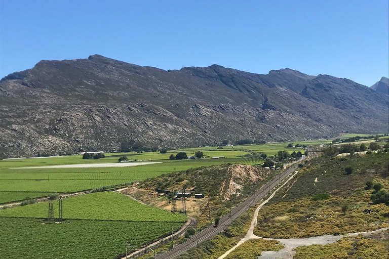 Le Cap : la montagne de la Table et le parc des grands fauves de Stellenbosch