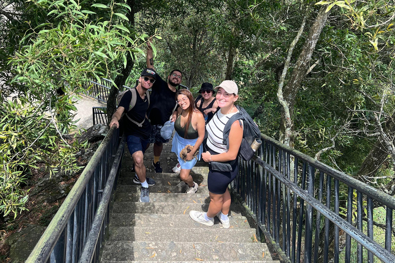 Medellin: Paths to Cerro El Picacho Hiking Tour with Picnic