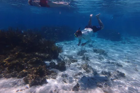 Stingray City and Starfish Point Beach - (2 Stops)