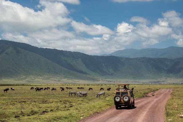 Visit Ngorongoro conservation and crater Day trip. in Tokyo