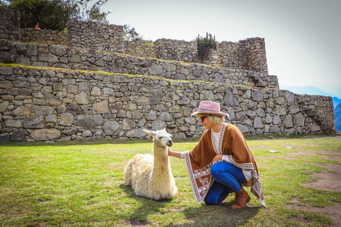 From Cusco: Machu Picchu Private Day Trip with Entry Tickets