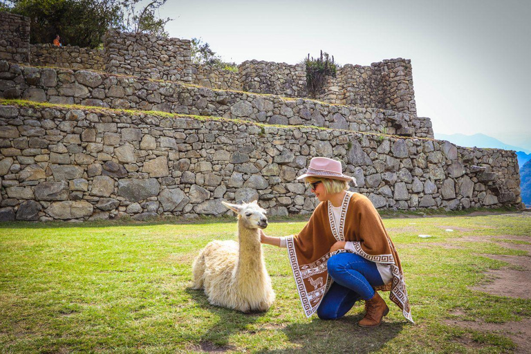 From Cusco: Machu Picchu Private Day Trip with Entry Tickets