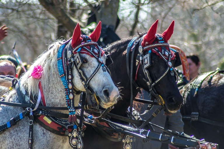 Loire Valley: Full Day Horse Ride, Grand Canal & Castle View