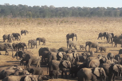 Erweiterte Tagestour zum Chobe