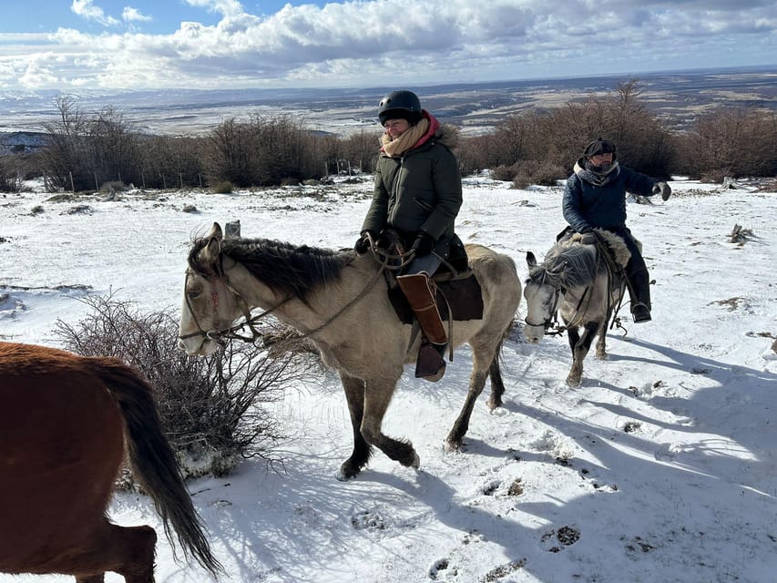Galería de fotos para redes