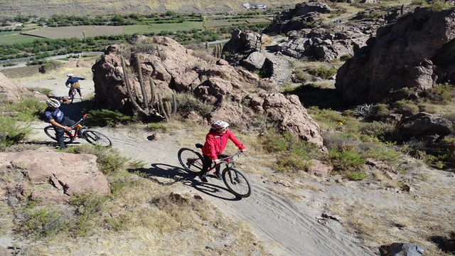 Arequipa: Las Rocas Park and Chilina Valley Bike Tour