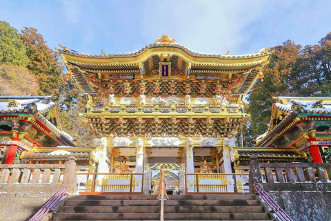 Tokyo: City Full-Day Private Customizable Best Places Tour