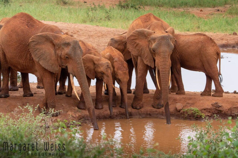 Mombasa: 4-Day Tsavo East Safari with Game Drives