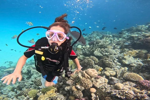 Sahl Hasheesh Elite Beach Dive & Coral Reef Experience Hotel pickup and drop-off from Hurghada or Makadi Bay hotels
